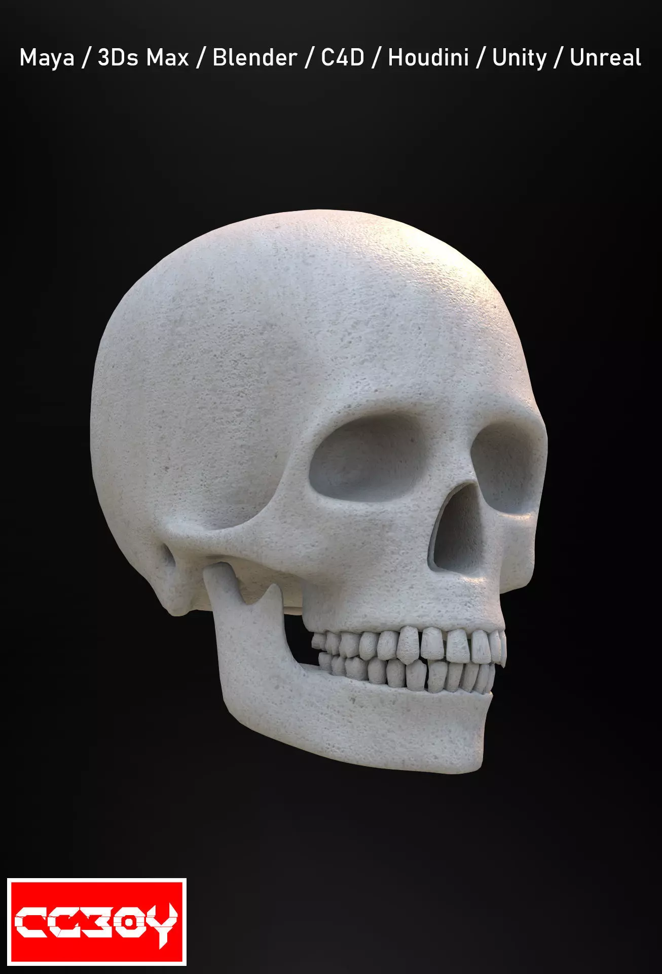 Human Skull 3D model_0