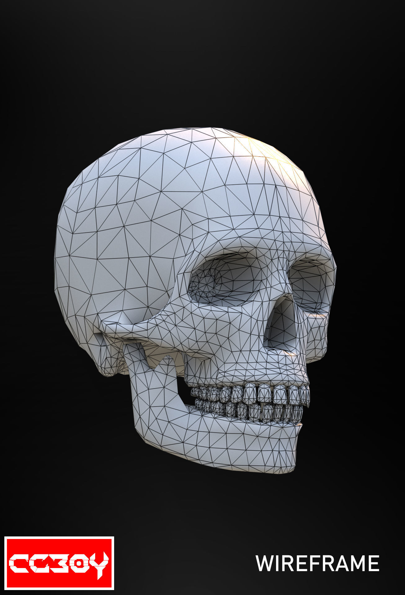 Human Skull 3D model_2
