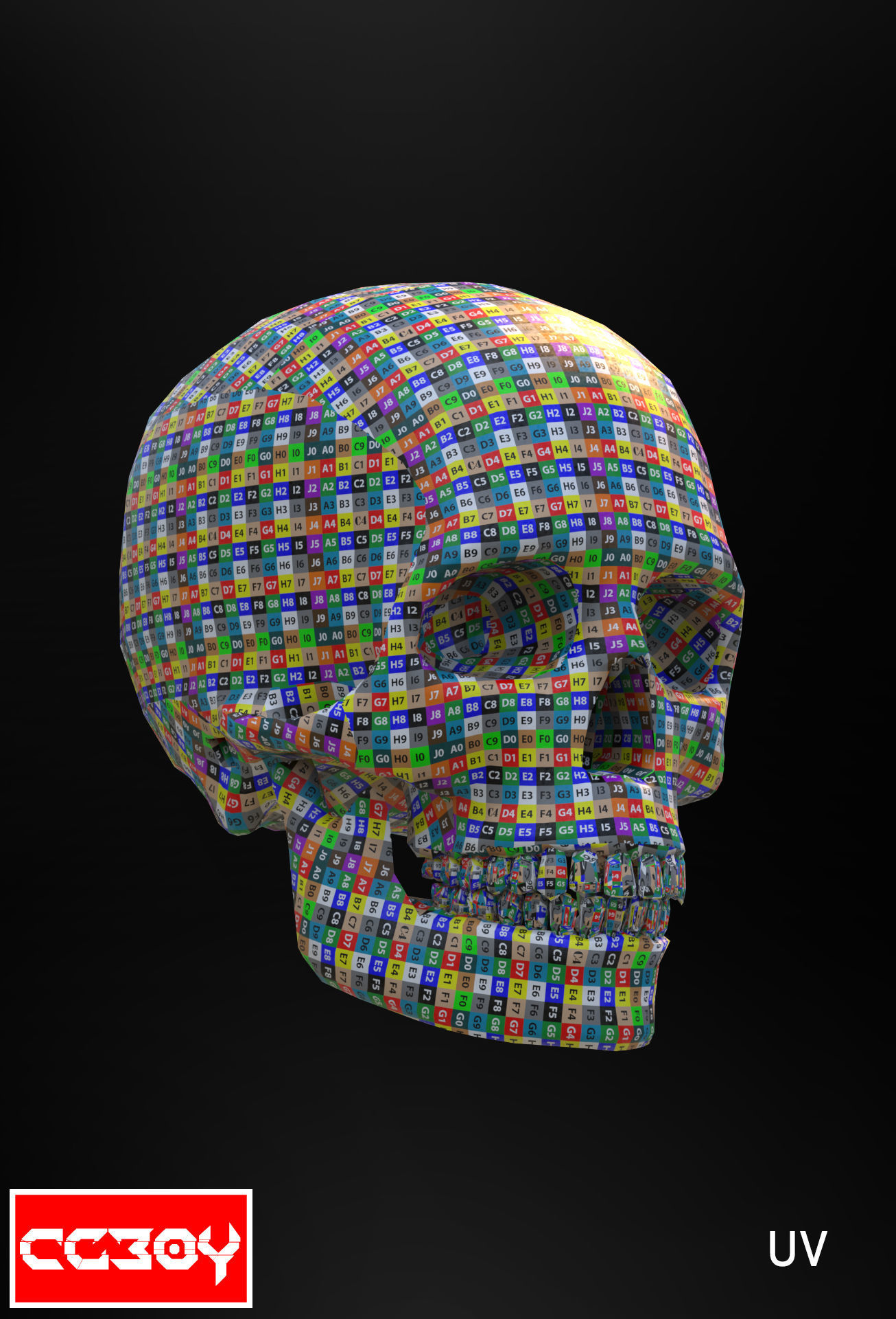 Human Skull 3D model_1