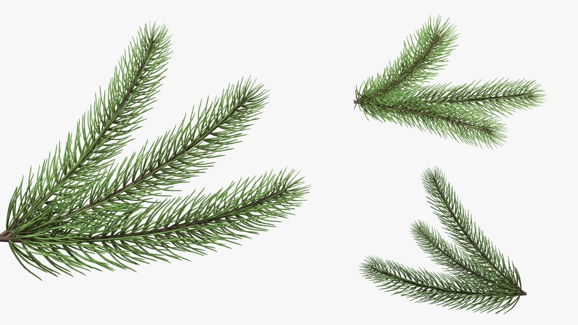 Christmas Collection 05 _11