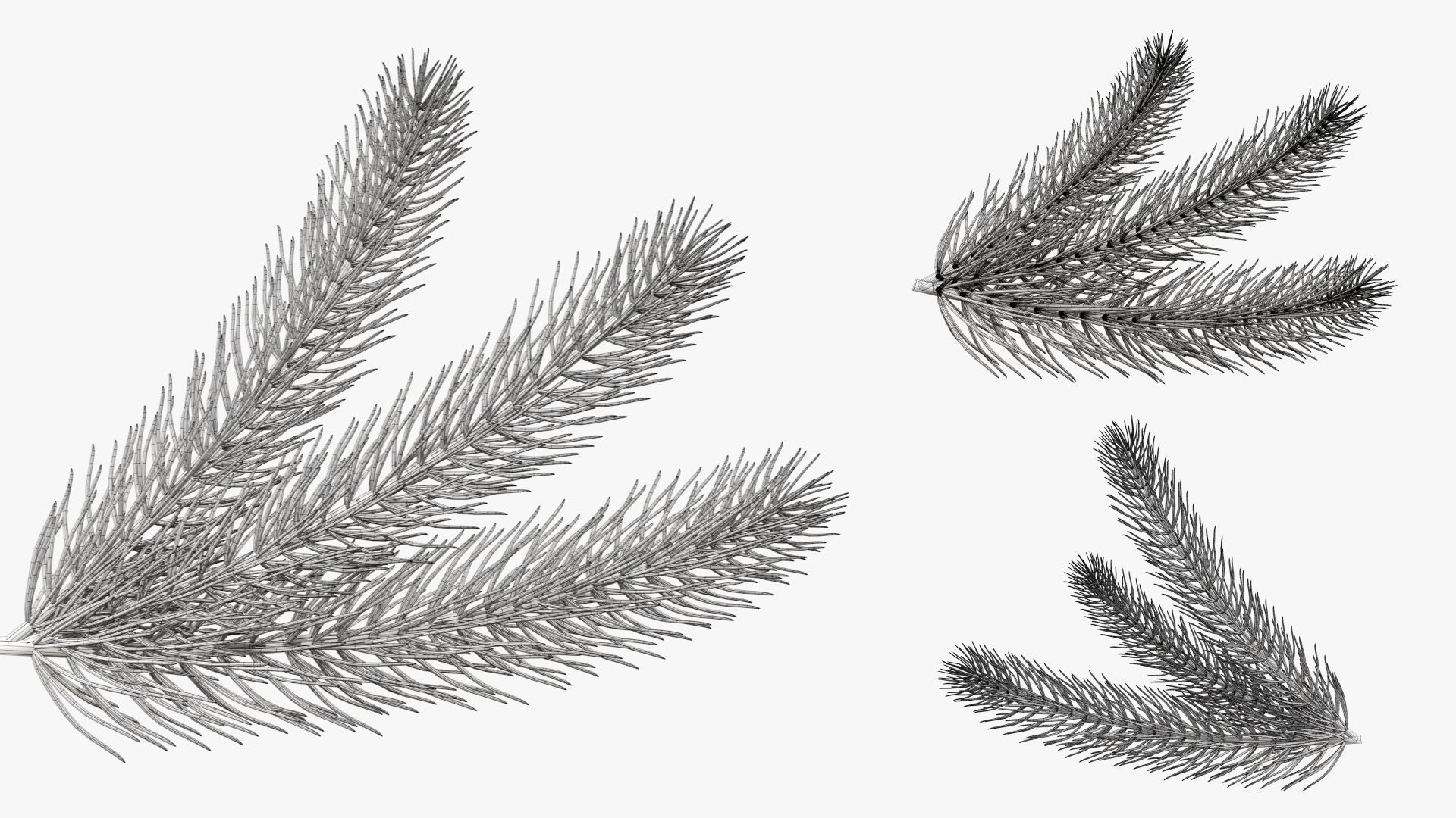 Christmas Collection 05 _12