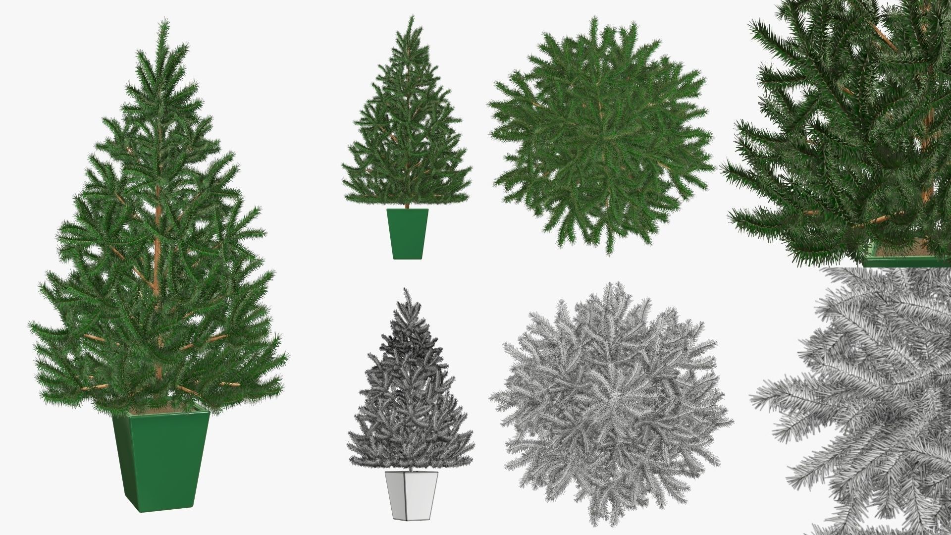 Christmas Collection 05 _5