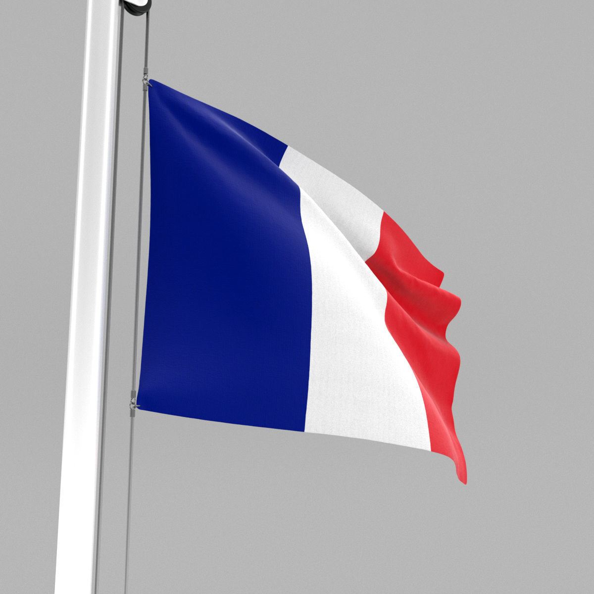 Flag of France 3D model_5