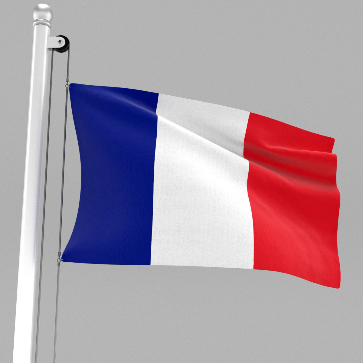 Flag of France 3D model_3