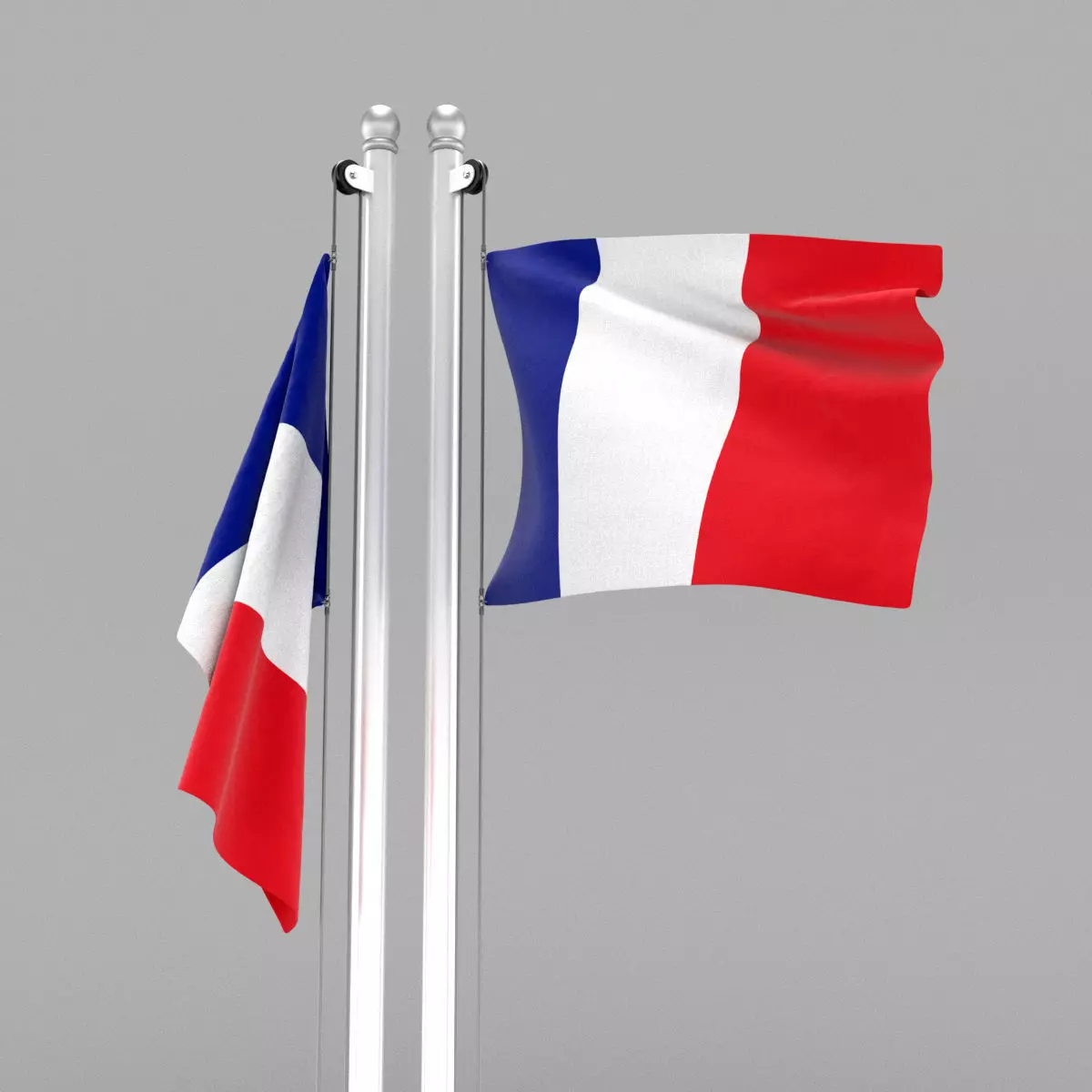Flag of France 3D model_0