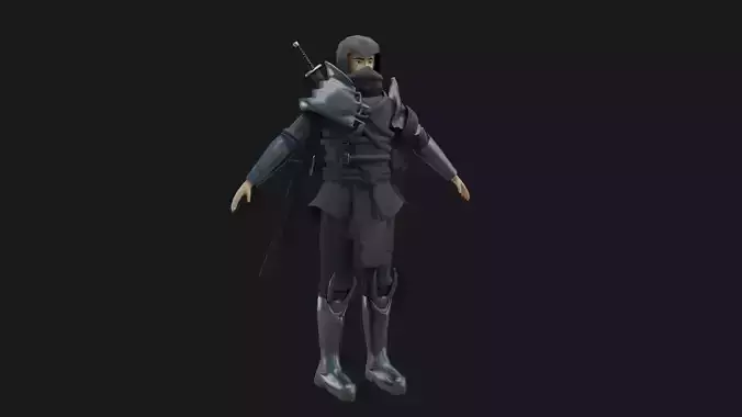 Dark Assassin Low-poly 3D model