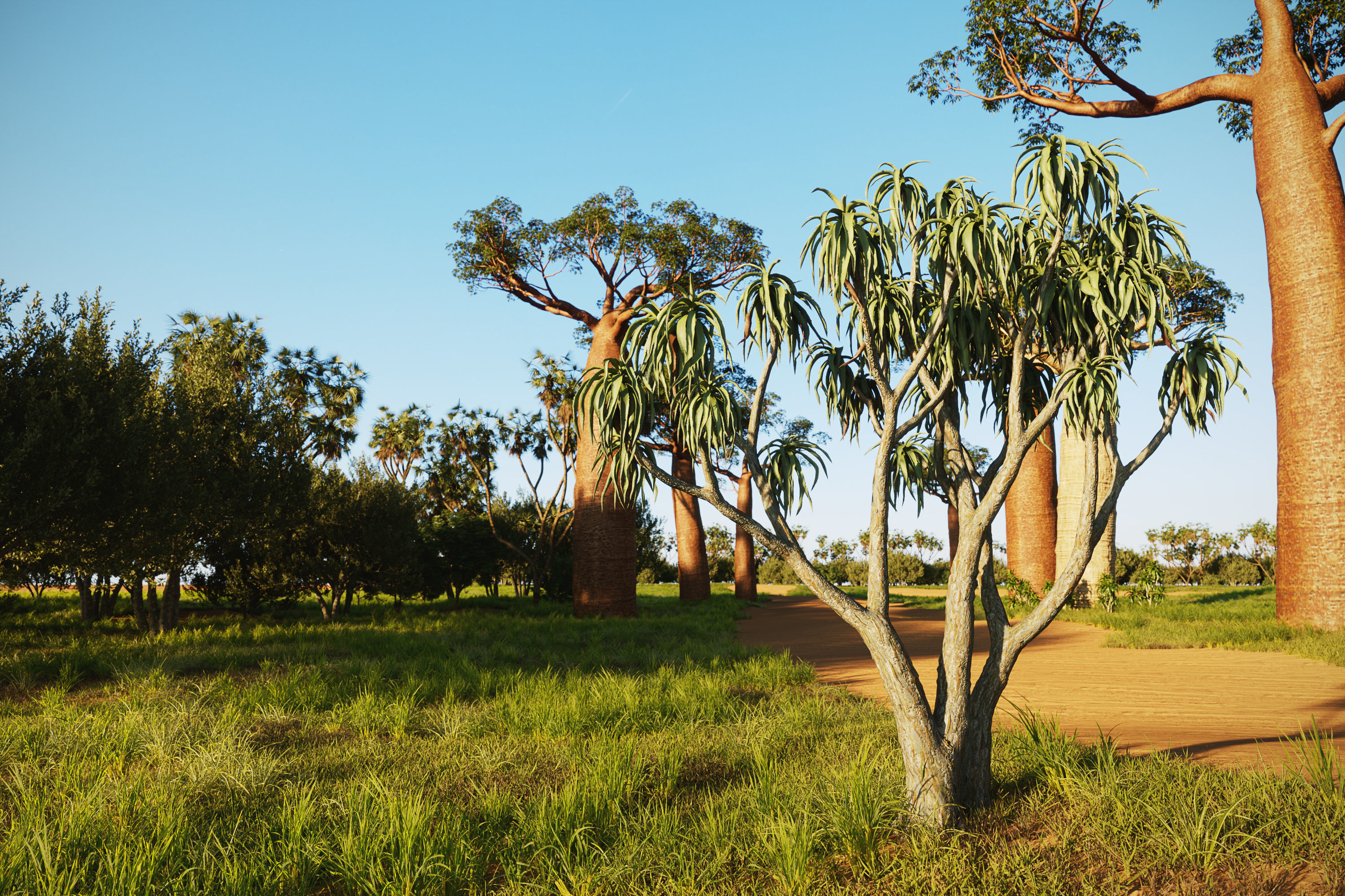 African plants - Include GrowFX and Mesh file 3D model_2