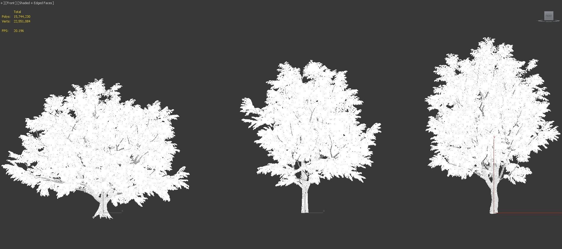 African plants - Include GrowFX and Mesh file 3D model_85