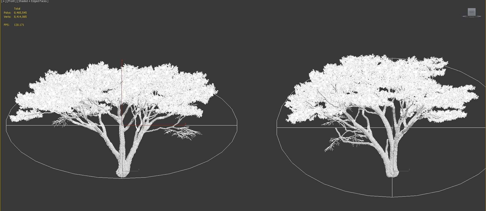 African plants - Include GrowFX and Mesh file 3D model_88