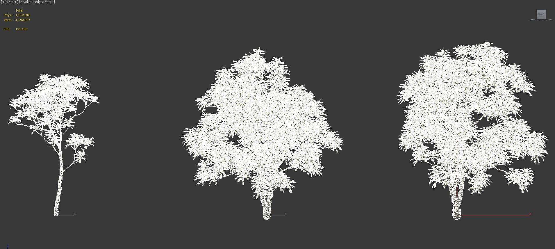 African plants - Include GrowFX and Mesh file 3D model_61