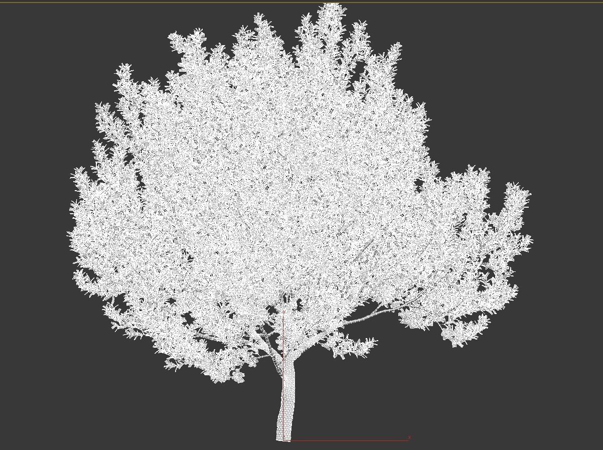 African plants - Include GrowFX and Mesh file 3D model_71