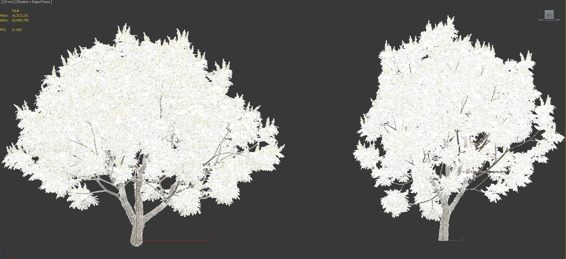 African plants - Include GrowFX and Mesh file 3D model_79