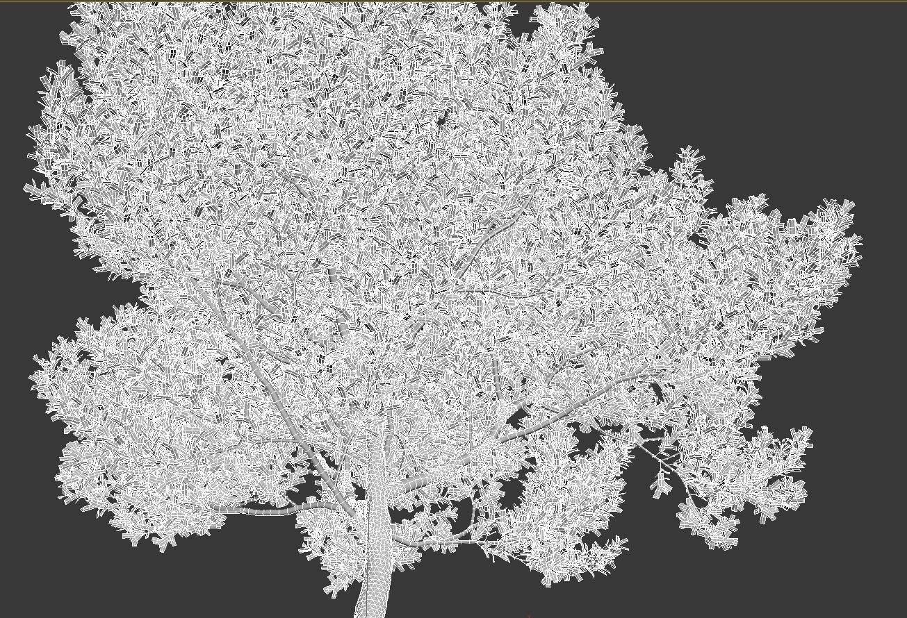 African plants - Include GrowFX and Mesh file 3D model_72