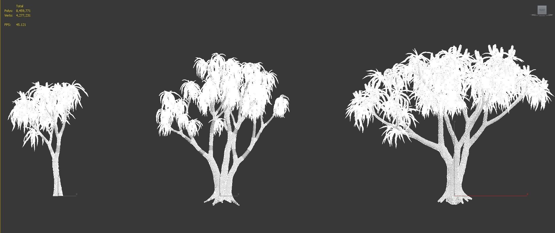 African plants - Include GrowFX and Mesh file 3D model_55
