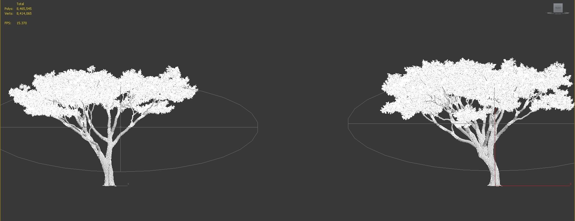 African plants - Include GrowFX and Mesh file 3D model_86