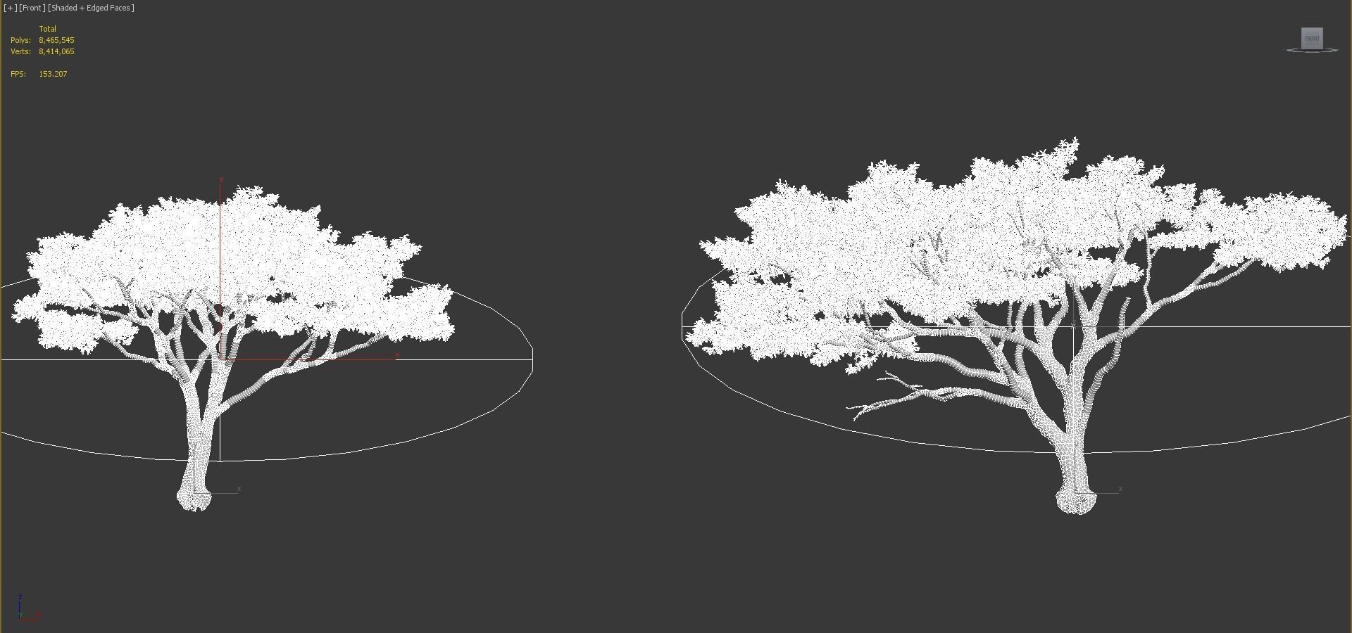 African plants - Include GrowFX and Mesh file 3D model_87