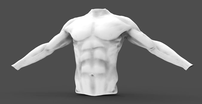 Sculpture - torso of athlete 3D model