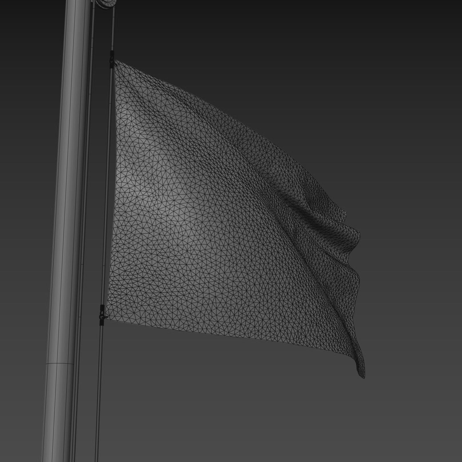 Flag of India 3D model_6