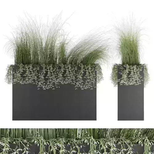 plant 008 3D model