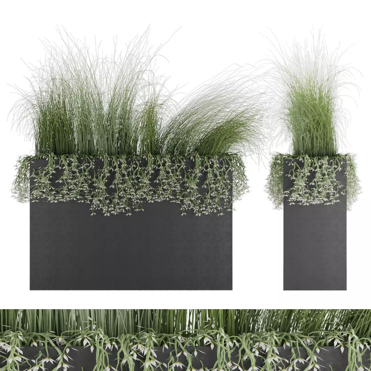 plant 008 3D model