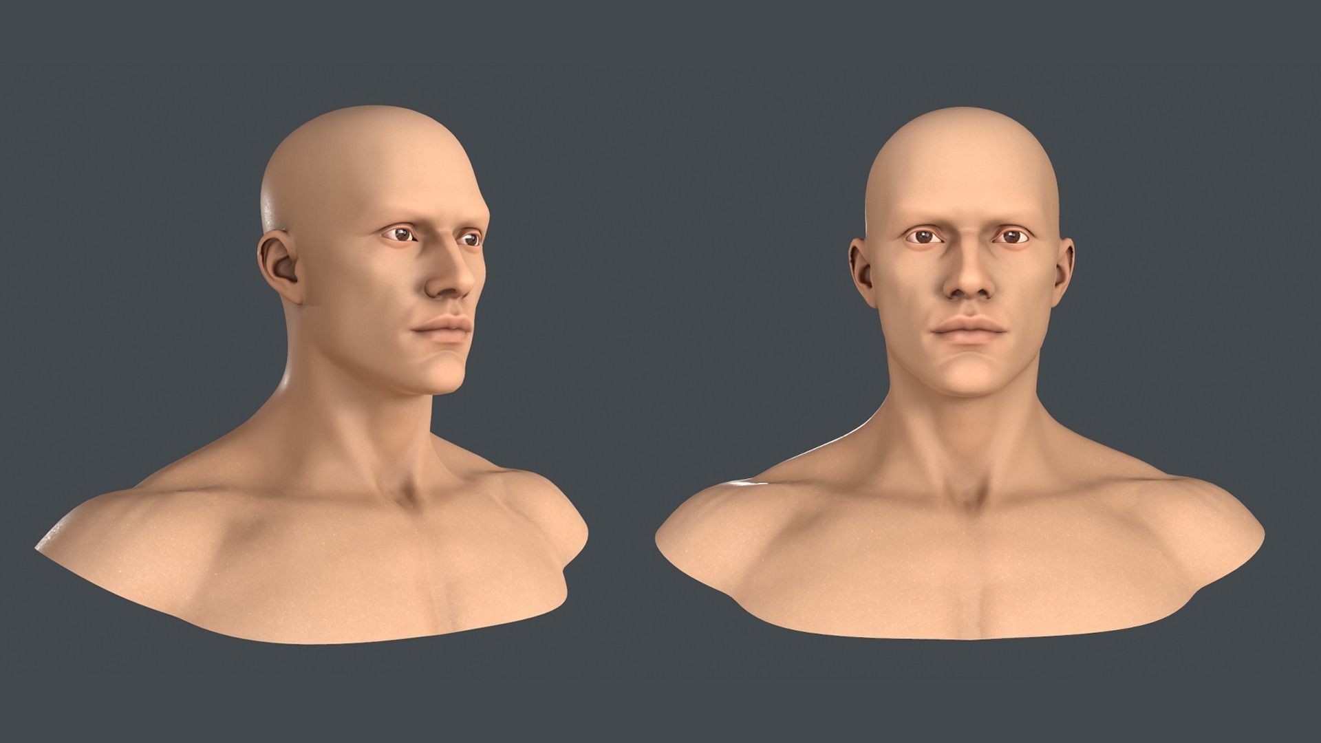 Realistic Human Male Head Low-poly 3D model_2