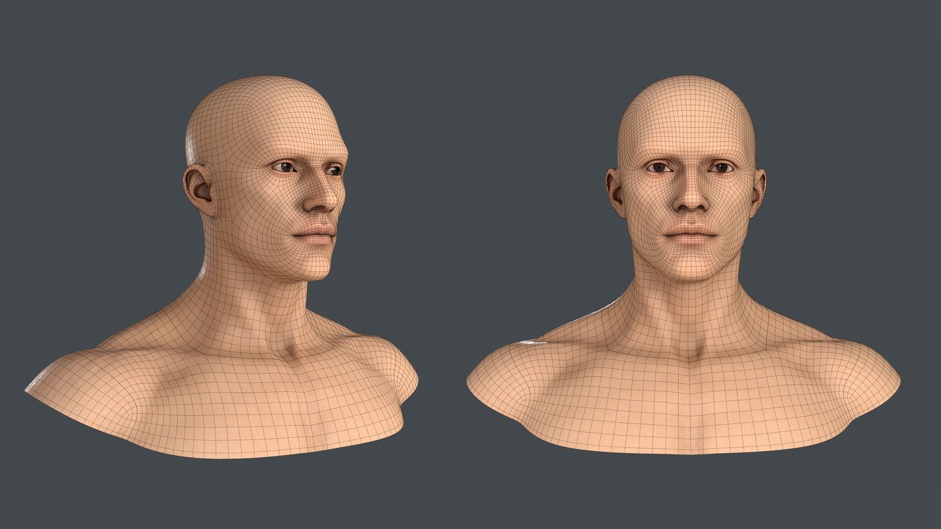Realistic Human Male Head Low-poly 3D model_3