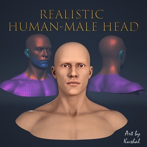 Realistic Human Male Head Low-poly 3D model