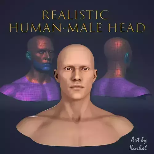 Realistic Human Male Head Low-poly 3D model Realistic Human Male Head Low-poly 3D model