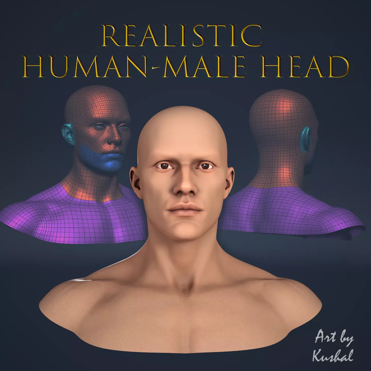 Realistic Human Male Head Low-poly 3D model_0