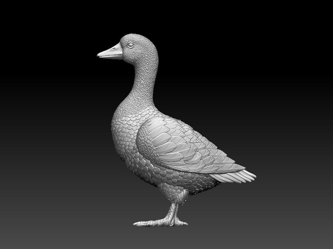 goose 3D print model_19