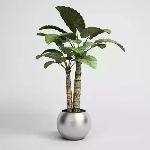 CGAXIS Potted House Plant