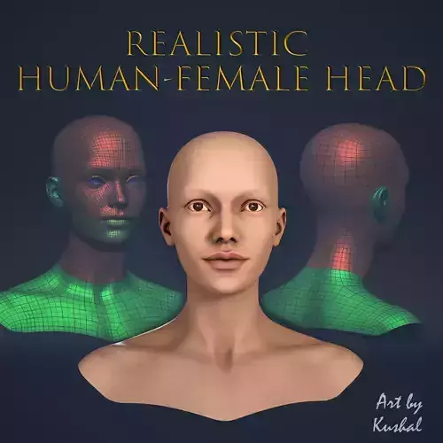 Realistic Human Female Head Low-poly 3D model Realistic Human Female Head Low-poly 3D model