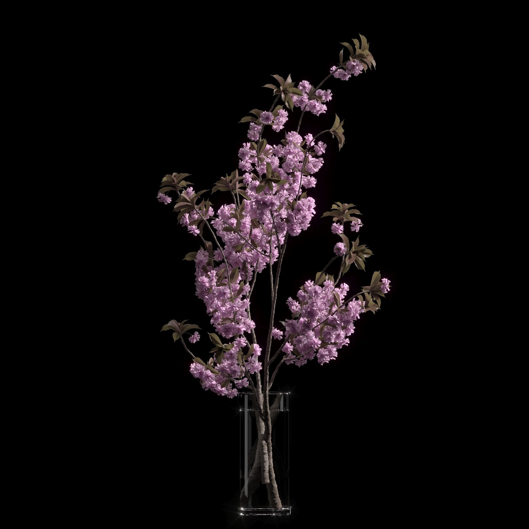 Japanese cherry branches 3D model_6