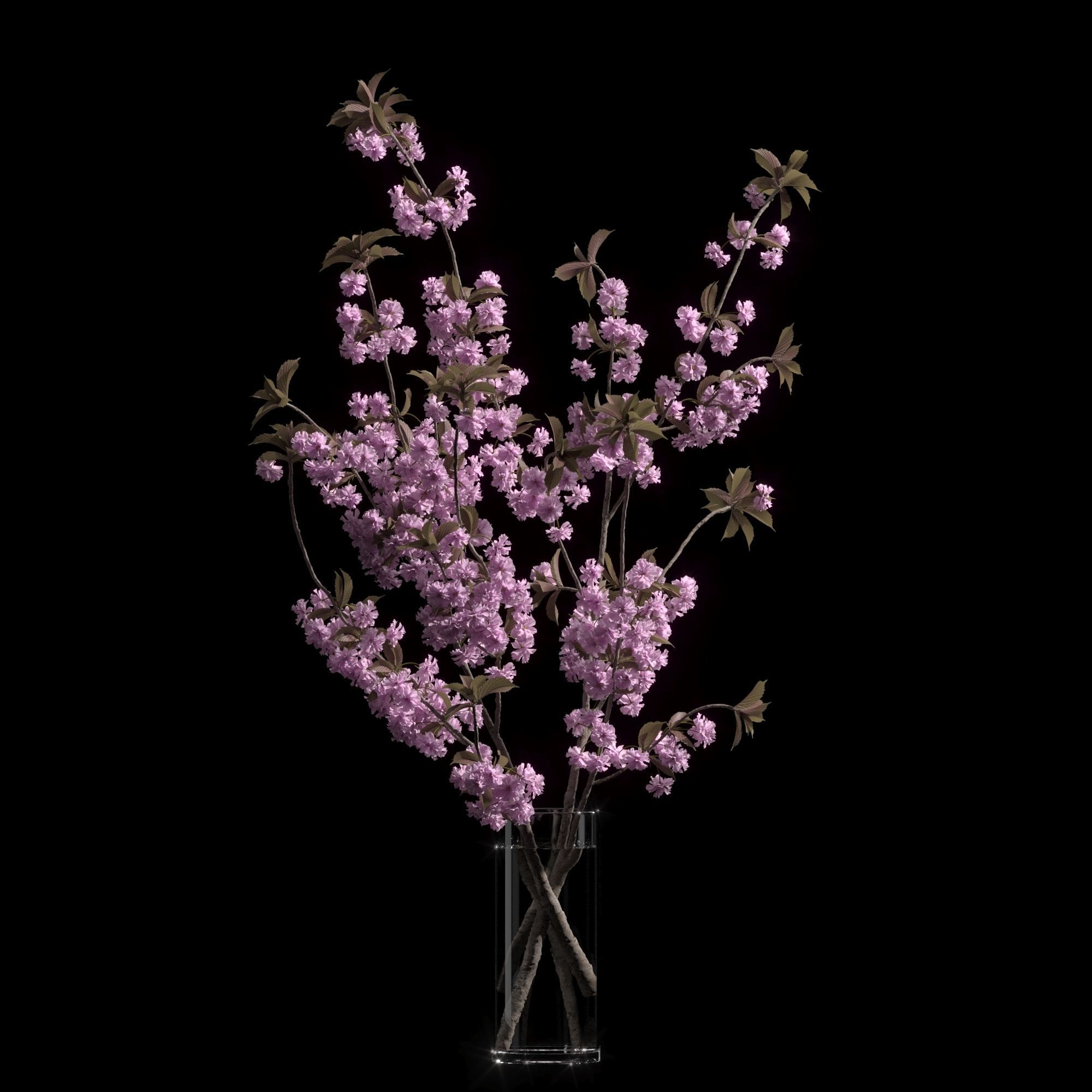 Japanese cherry branches 3D model_9