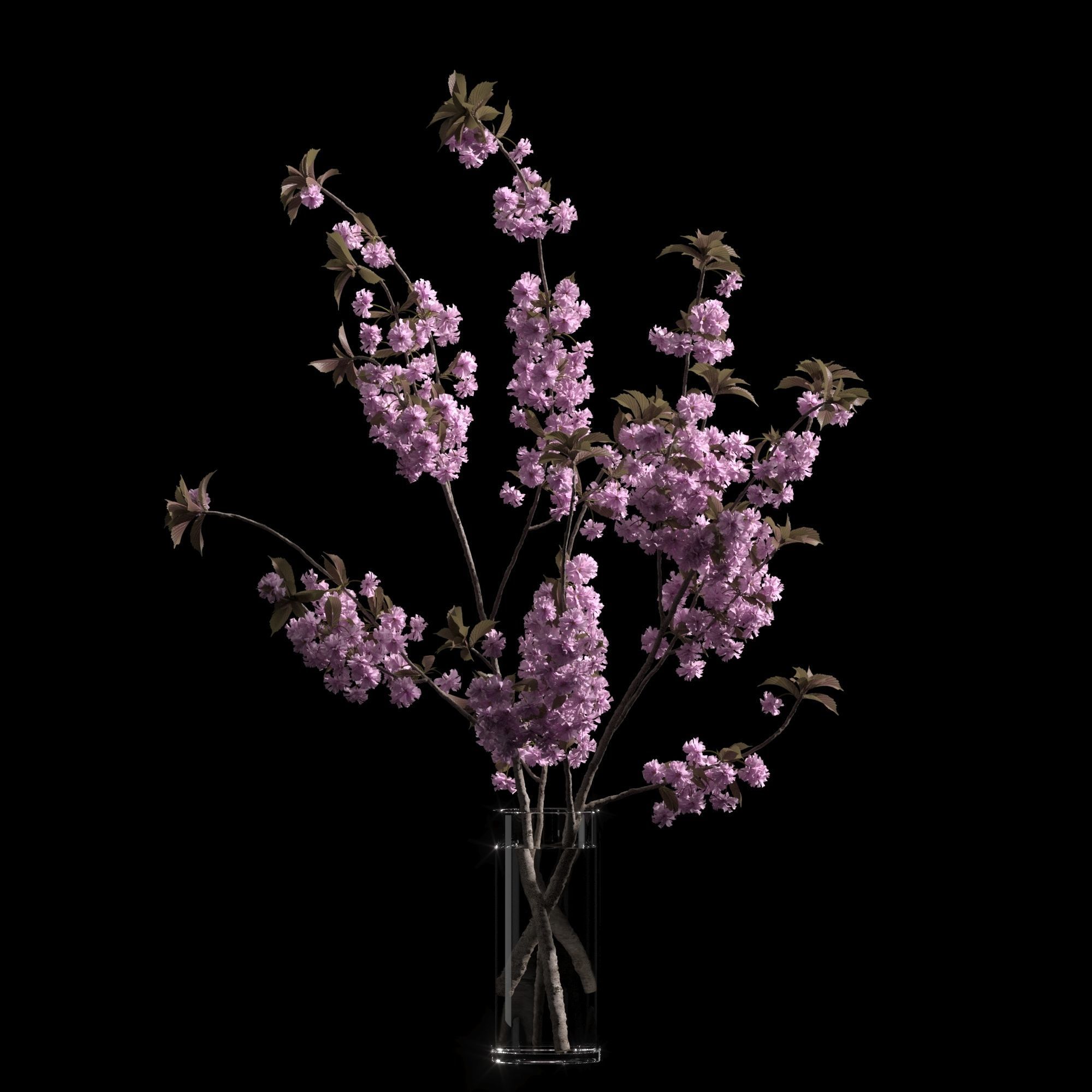 Japanese cherry branches 3D model_2