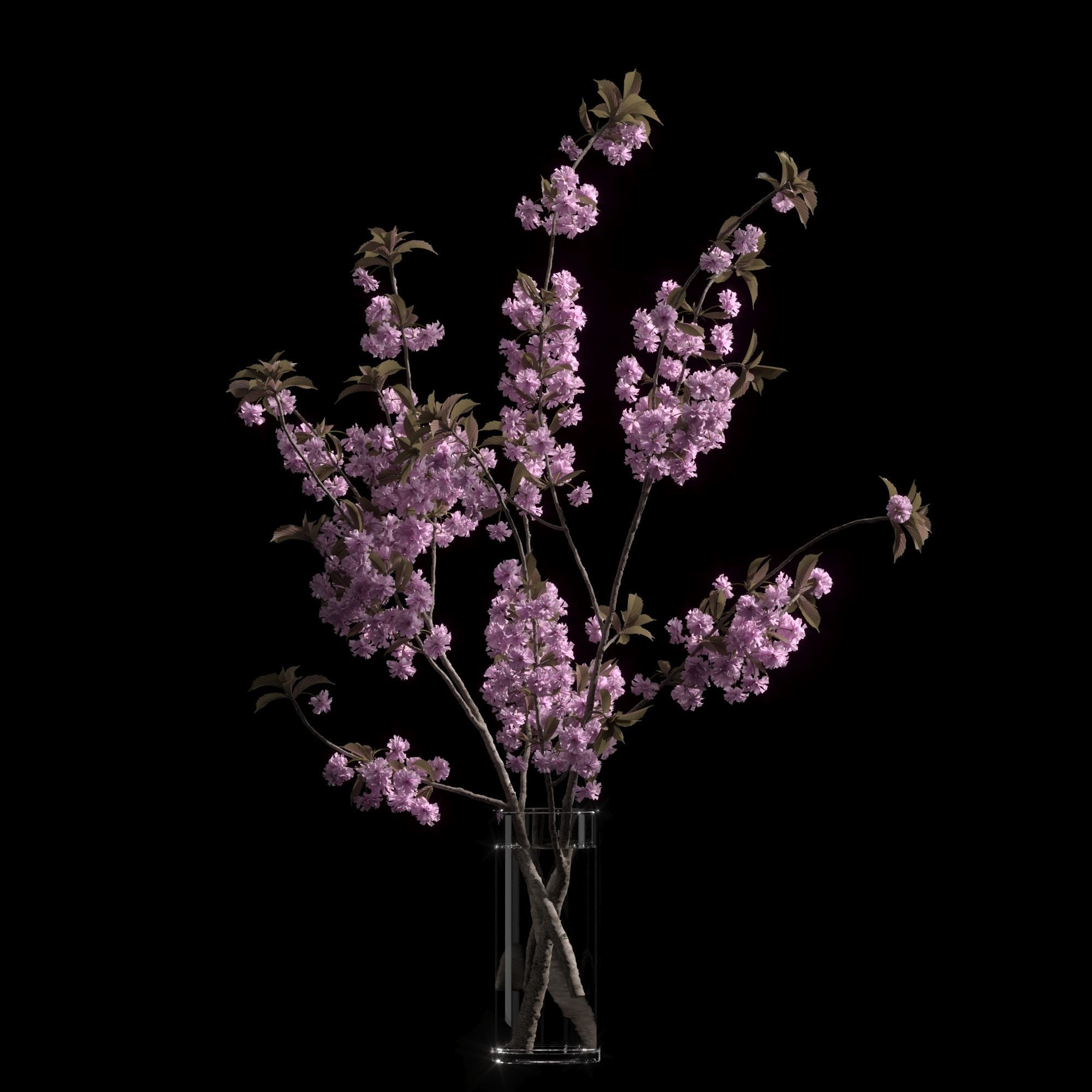 Japanese cherry branches 3D model_7