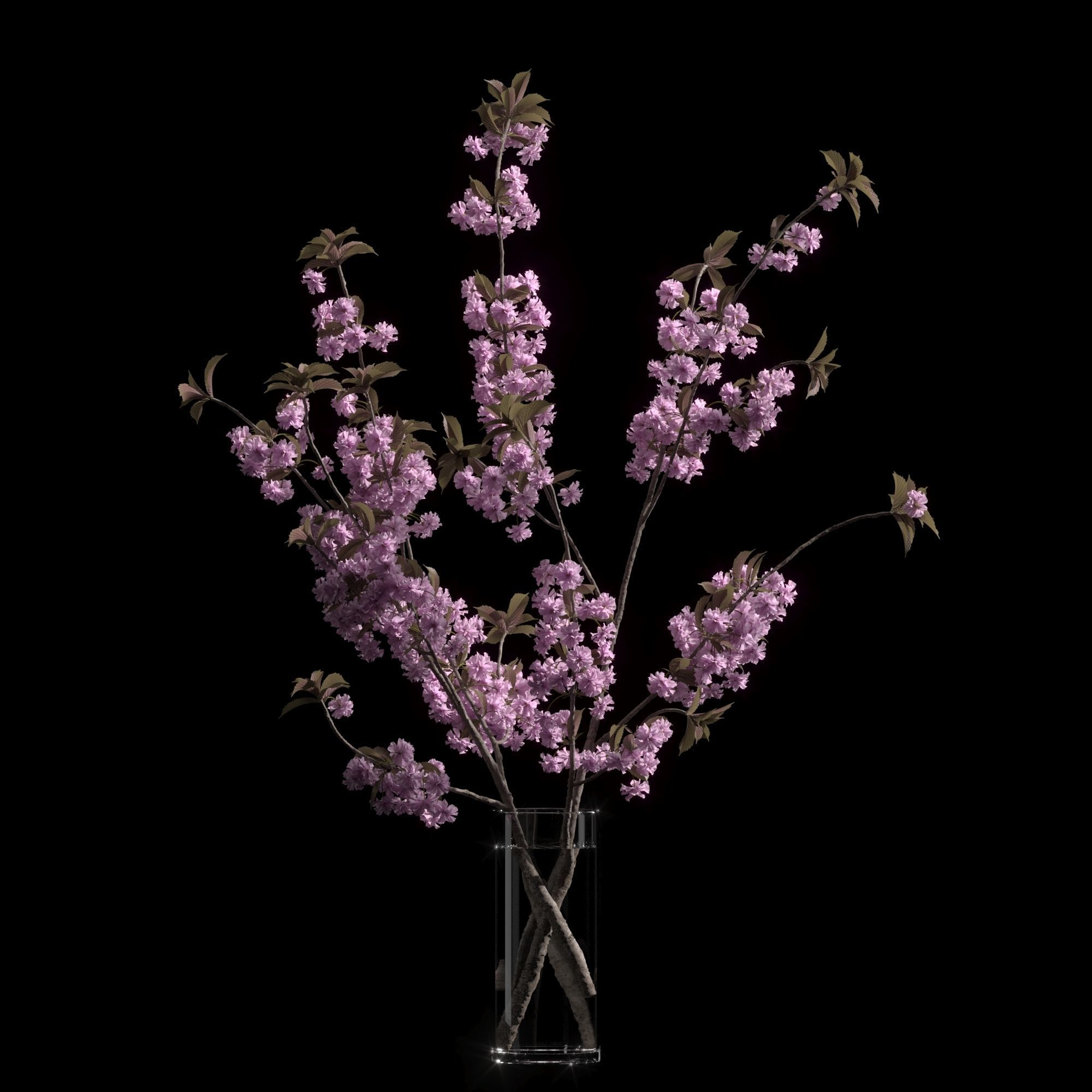 Japanese cherry branches 3D model_8