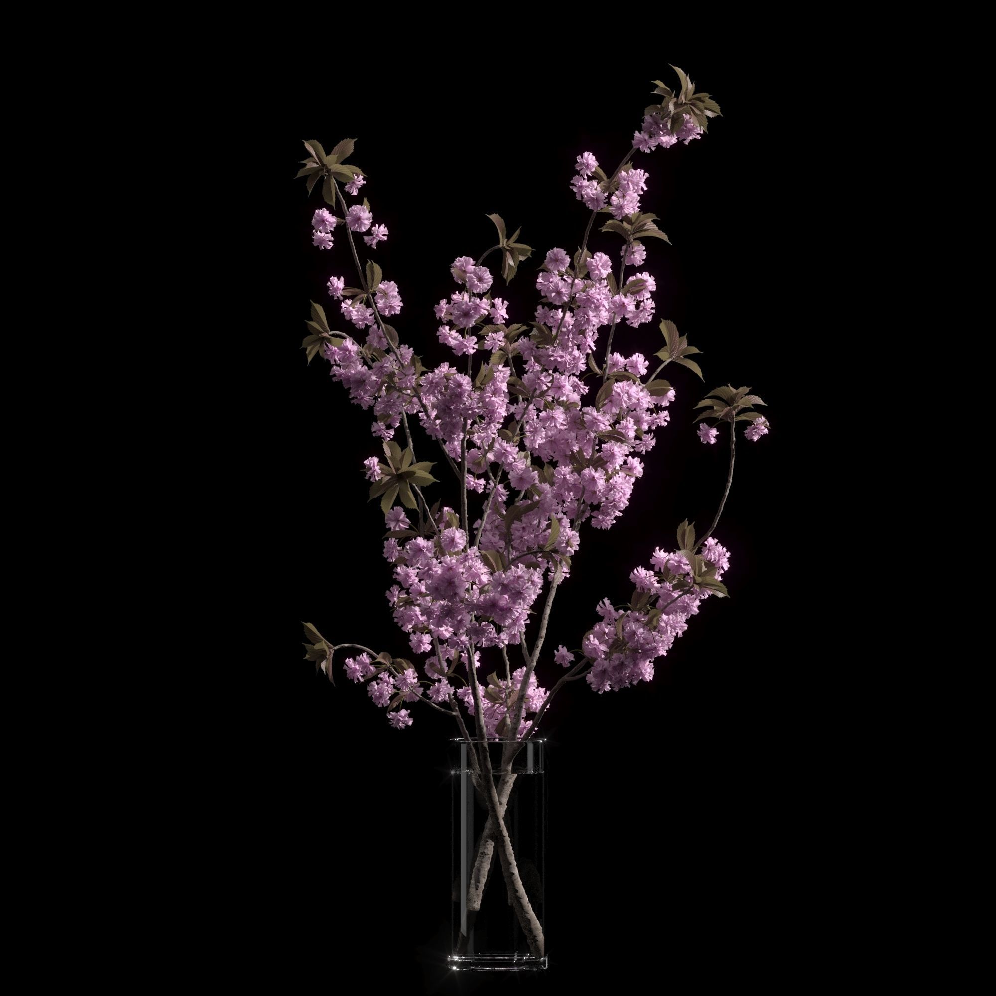 Japanese cherry branches 3D model_5