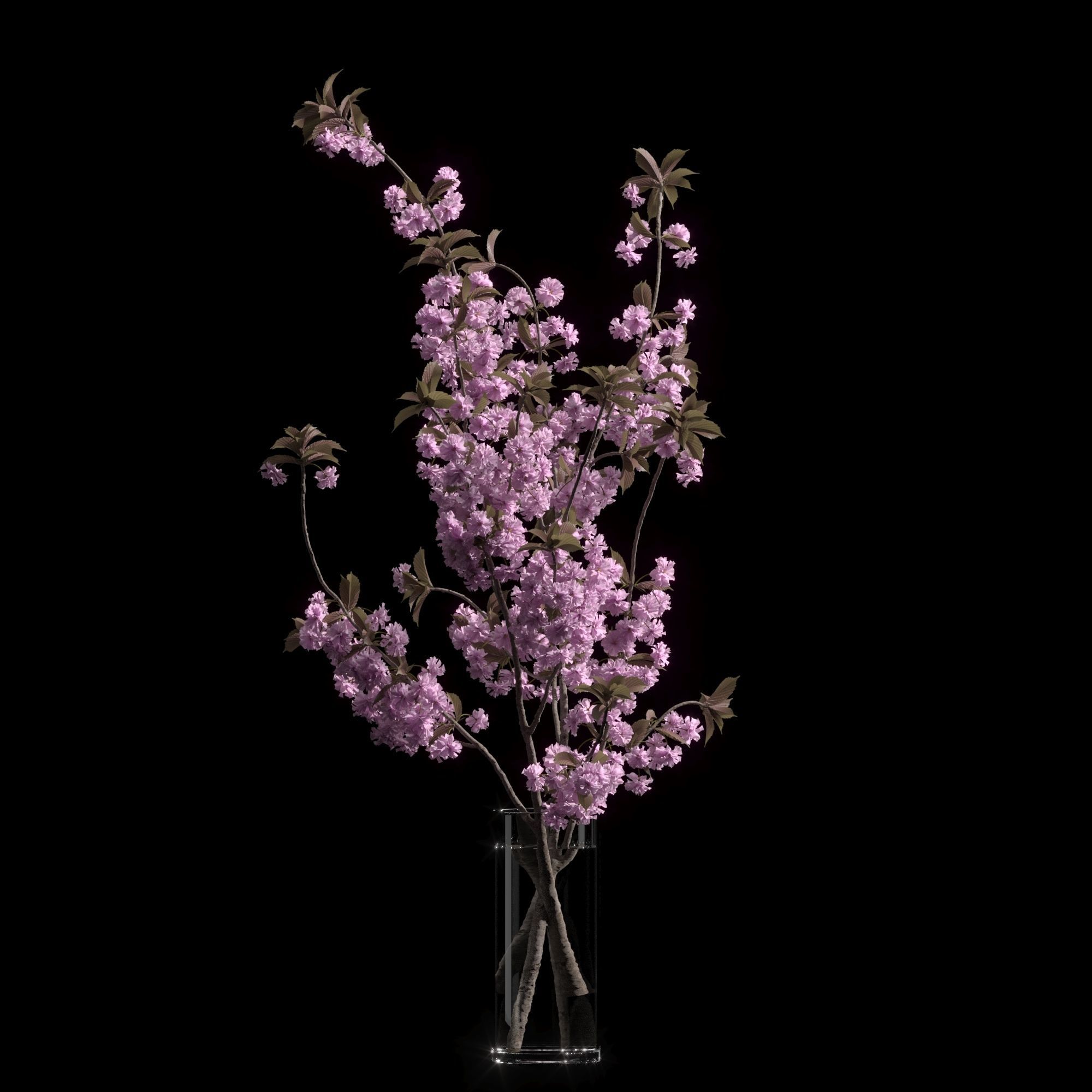 Japanese cherry branches 3D model_10