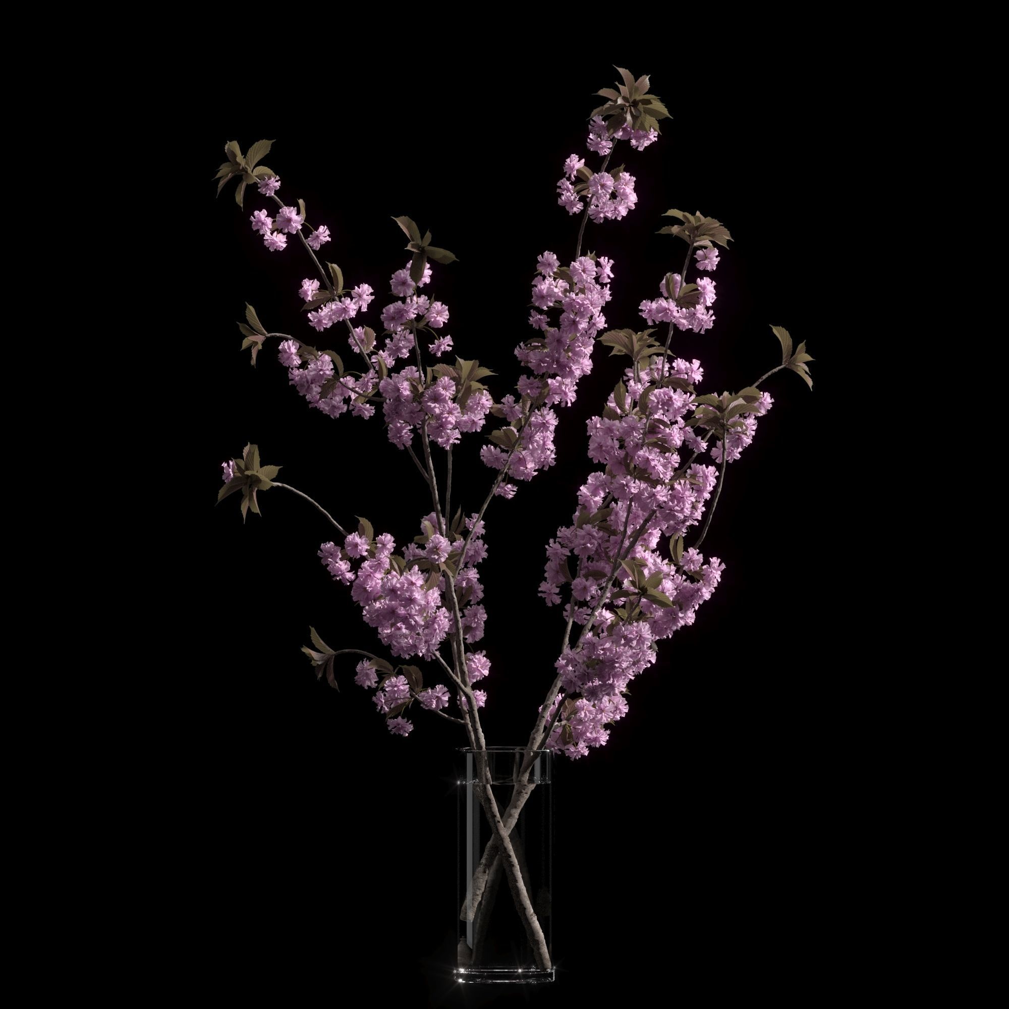 Japanese cherry branches 3D model_4