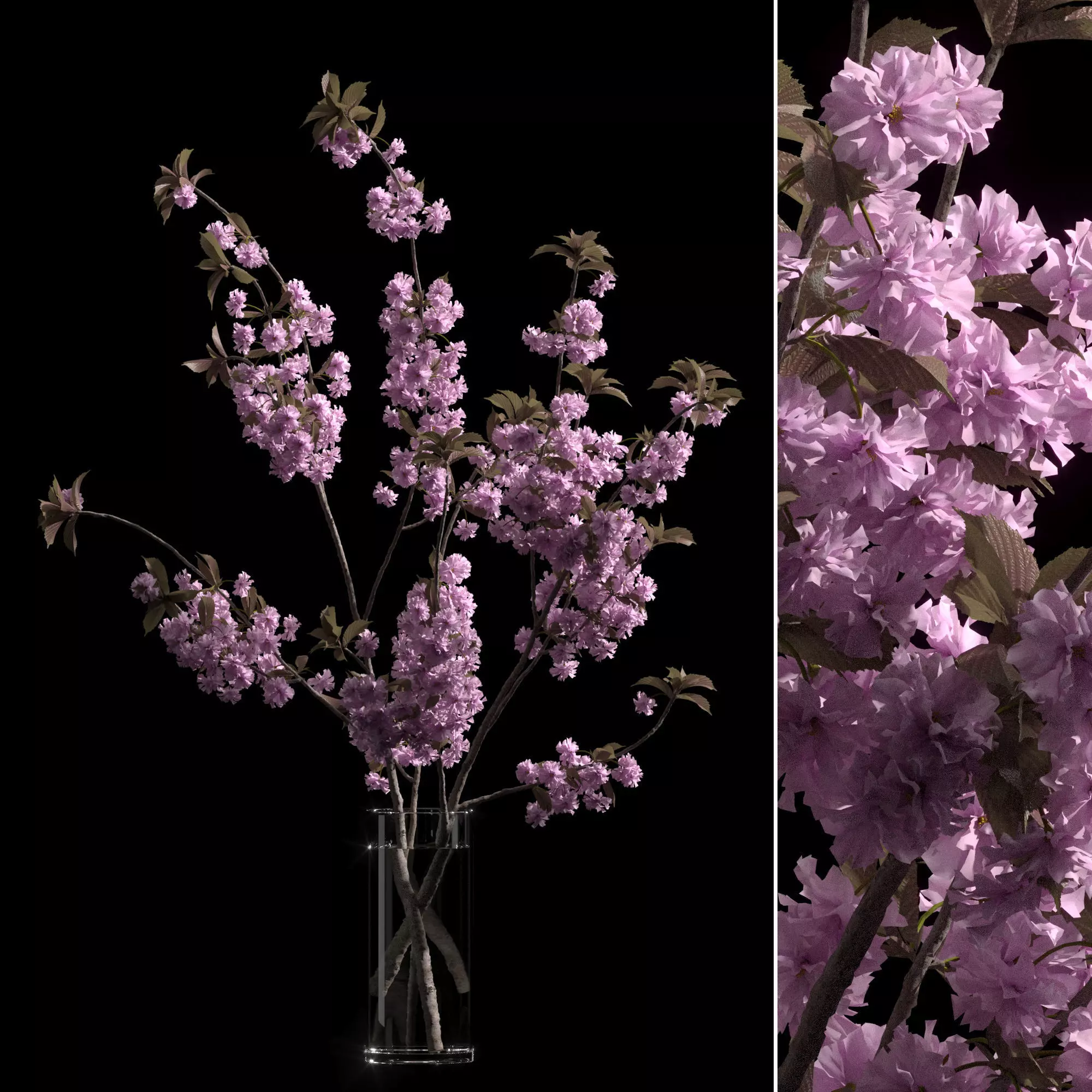 Japanese cherry branches 3D model_0