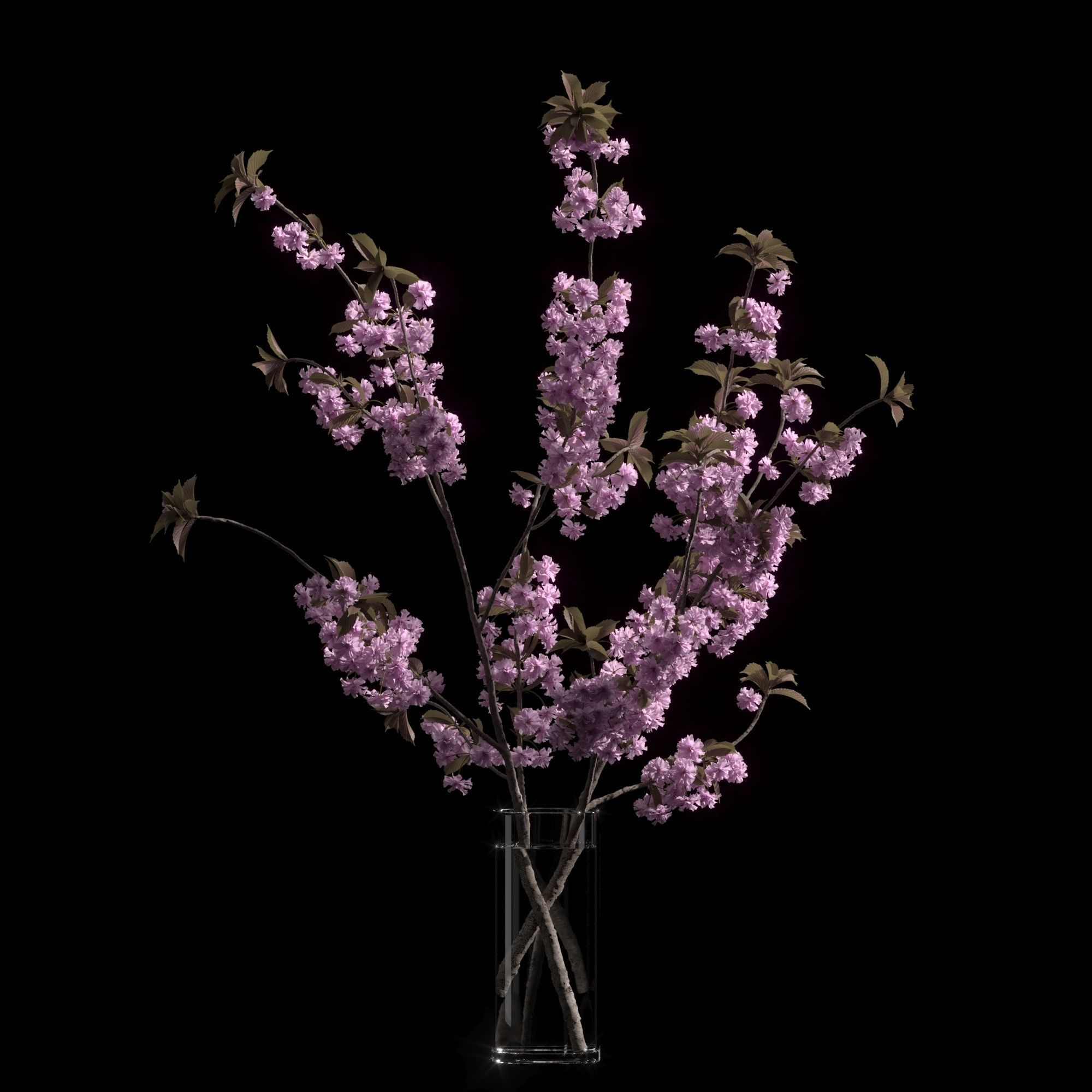 Japanese cherry branches 3D model_3