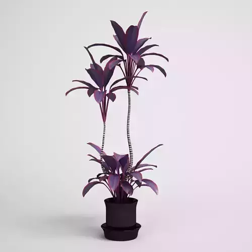 CGAXIS Purple Potted House Plant