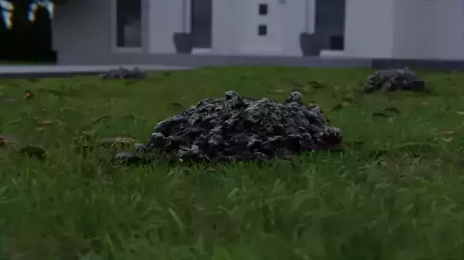 Molehill pile of dirt