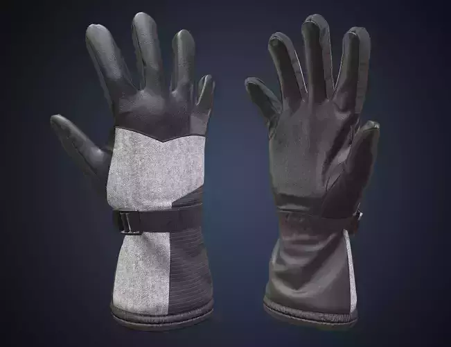 Winter gloves