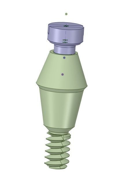 dental implants ready to FEA 3D model_2