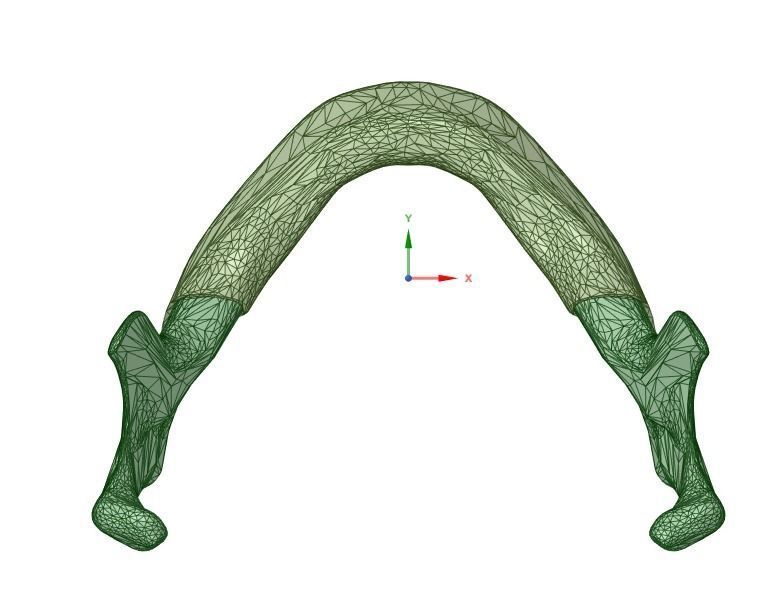 mandible vertebral arch with arrow pointing in direction of bone 3D model_1