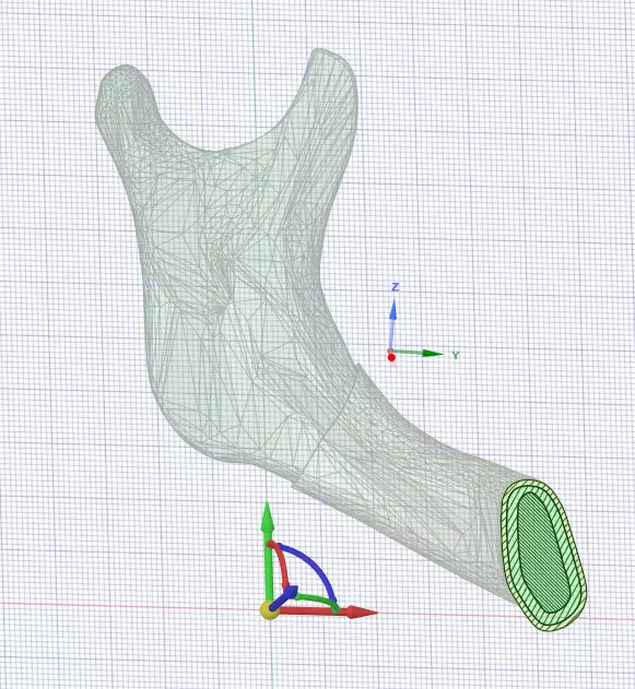 mandible vertebral arch with arrow pointing in direction of bone 3D model_0