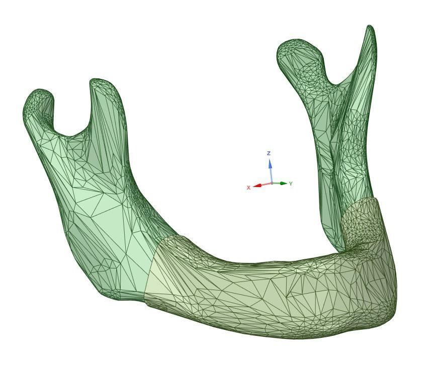mandible vertebral arch with arrow pointing in direction of bone 3D model_3