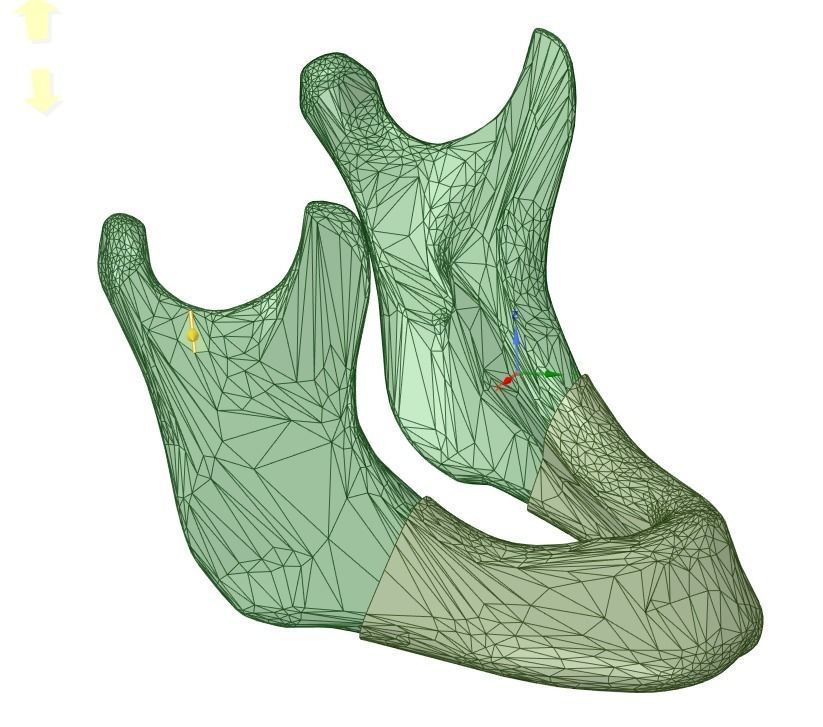mandible vertebral arch with arrow pointing in direction of bone 3D model_2